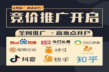 实战解析：百度竞价排名服务成功案例